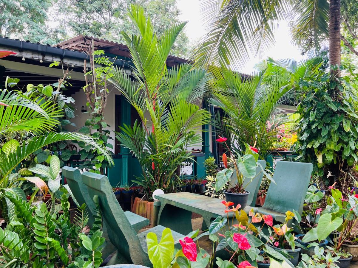 Sigiri Budget Homestay Sigiriya Ngoại thất bức ảnh