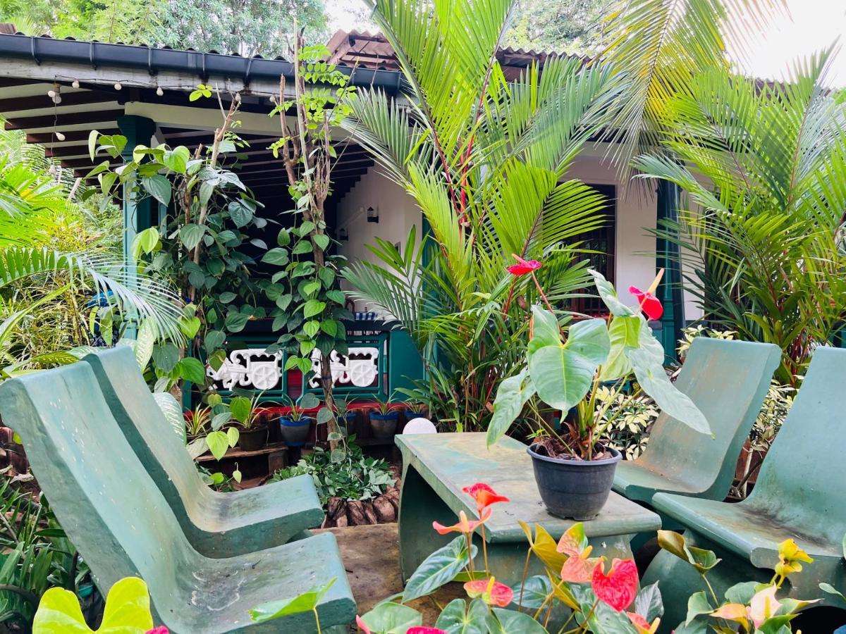 Sigiri Budget Homestay Sigiriya Ngoại thất bức ảnh