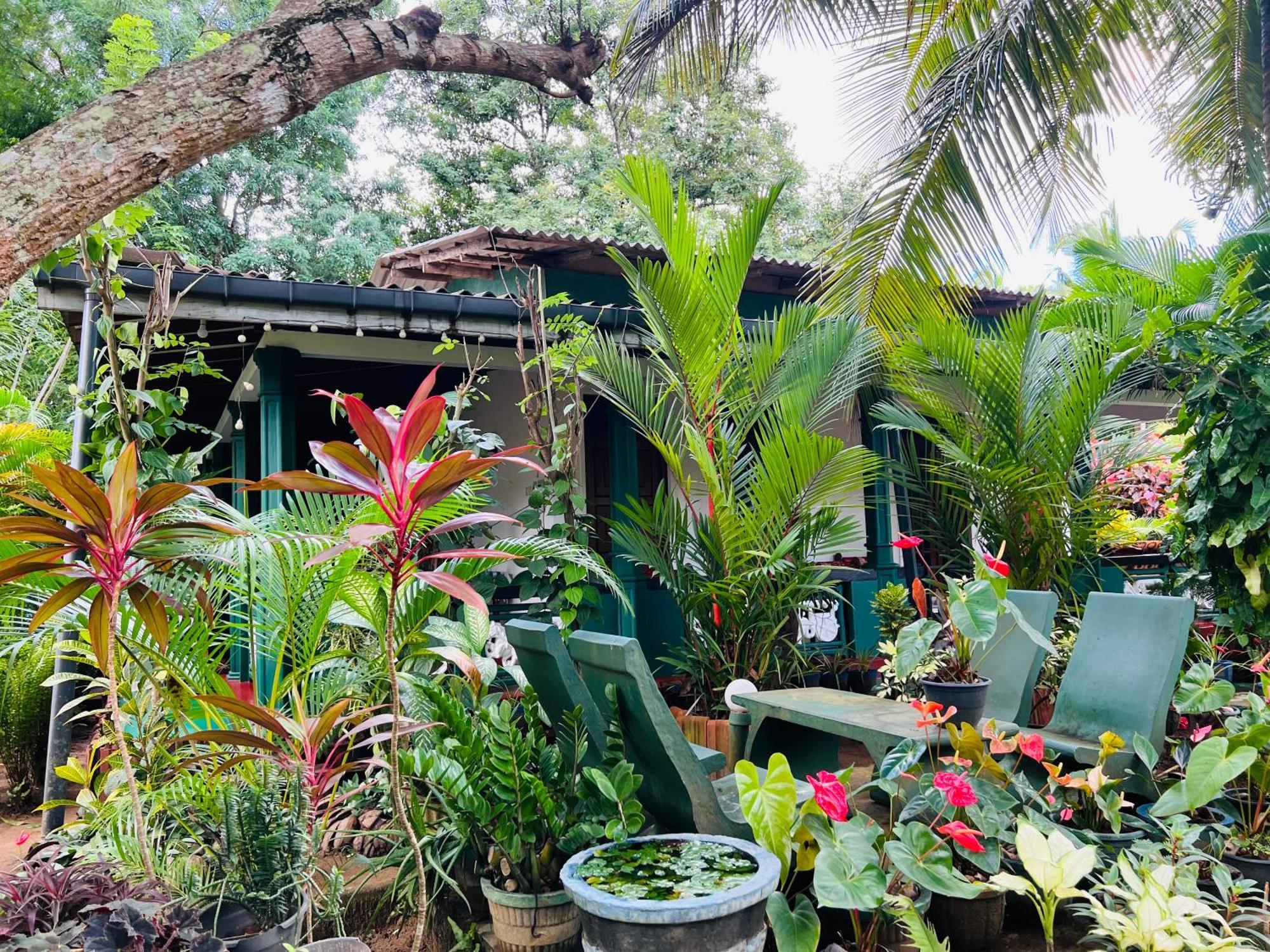 Sigiri Budget Homestay Sigiriya Ngoại thất bức ảnh